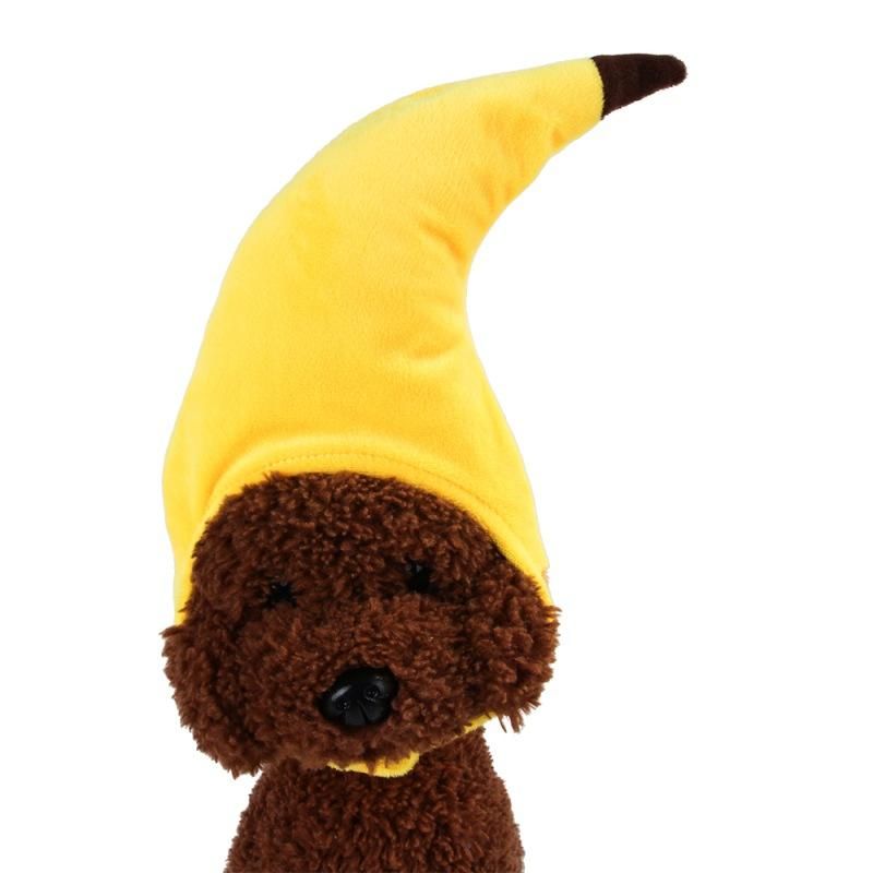 Banaanisuunnittelun Lemmikkipuku
