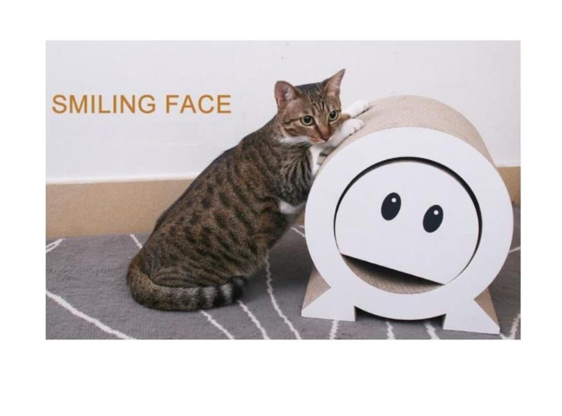 Hymyilevä Kasvot Kissa Raaputuslauta