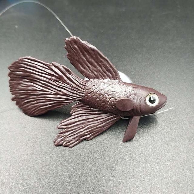  1kpl fightfish brown