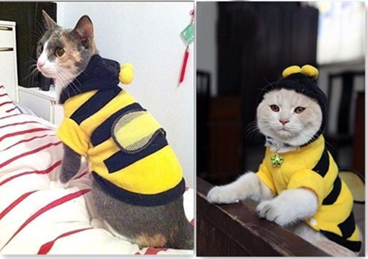 Mehiläisten Vaatteet Kissallesi