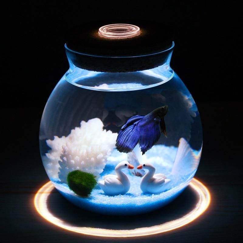 Mini Betta -säiliö Pienillä Valoilla