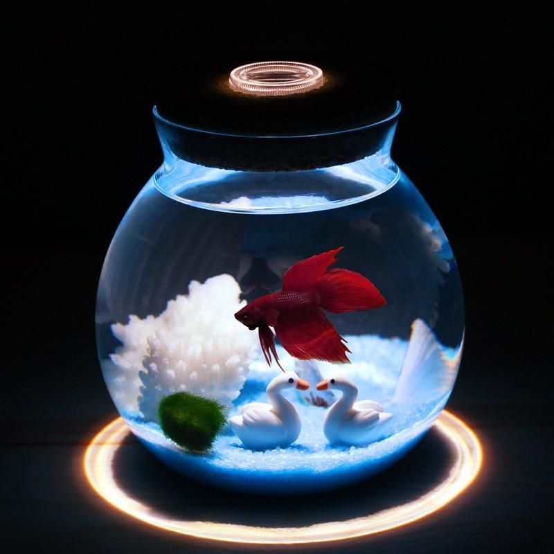 Mini Betta -säiliö Pienillä Valoilla